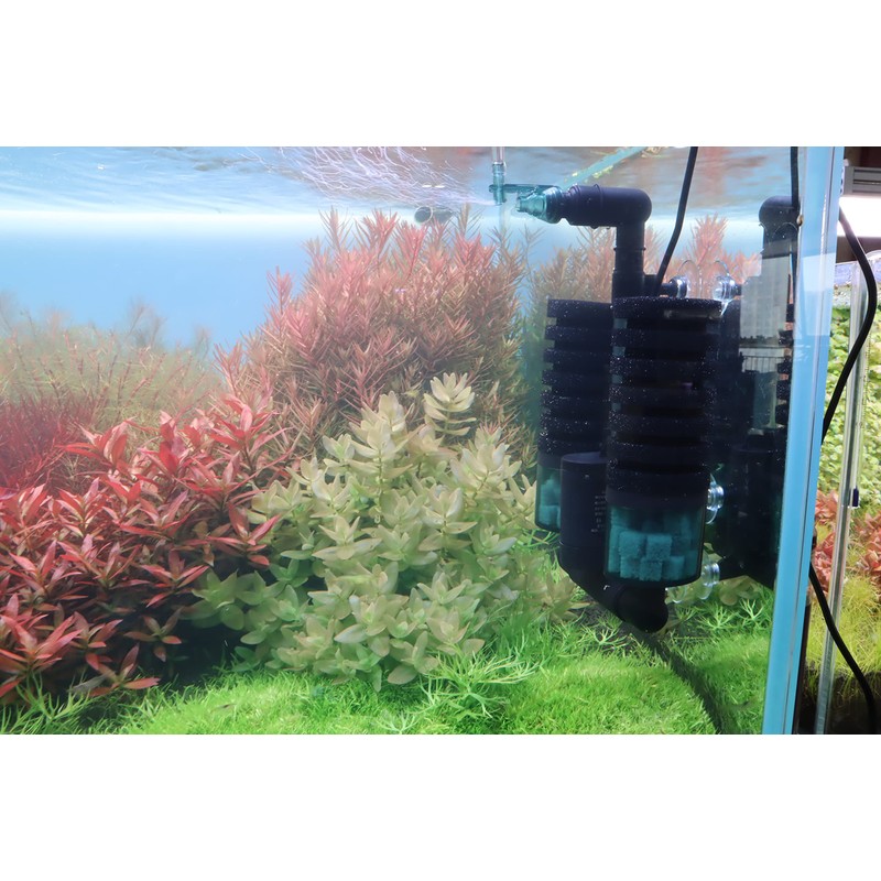 QANVEE Aquarium Sponge Filter Bubbler with Ultra Quiet Water Pump