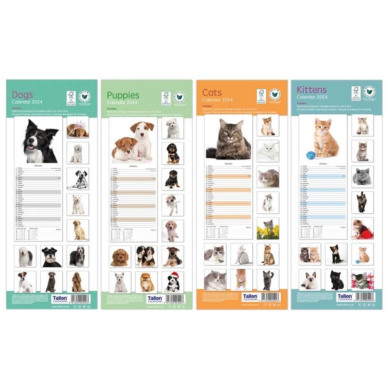 2025 Super Slim Month to View Spiral Bound Hanging Wall