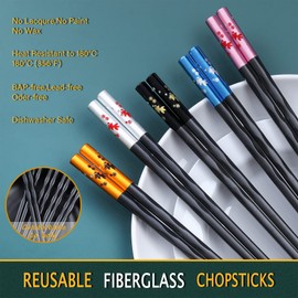HuaLan Fiberglass Chopsticks Series - Japanese Non-Slip Luxury Reusable Chopsticks 5 Pairs Gift Set