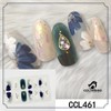 COLORBIRD Nail Seal, Autumn and Winter B, Just Paste Manicure,