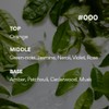 Innisfree Isle Number Body Lotion [Green Tea Essence] 300mL /