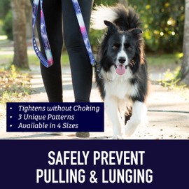 Leash Boss Martingale Collar for Dogs - Steel Chain | Reflective Nylon Dog Collar for Large Dogs, Medium and Small Dogs | No Pull Pet Training Collar Small