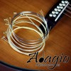 Adagio Pro 12-String Acoustic Guitar Strings (12 String) - Bronze