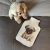 'Pug ' Hot Water Bottle Cover (HW00031853)