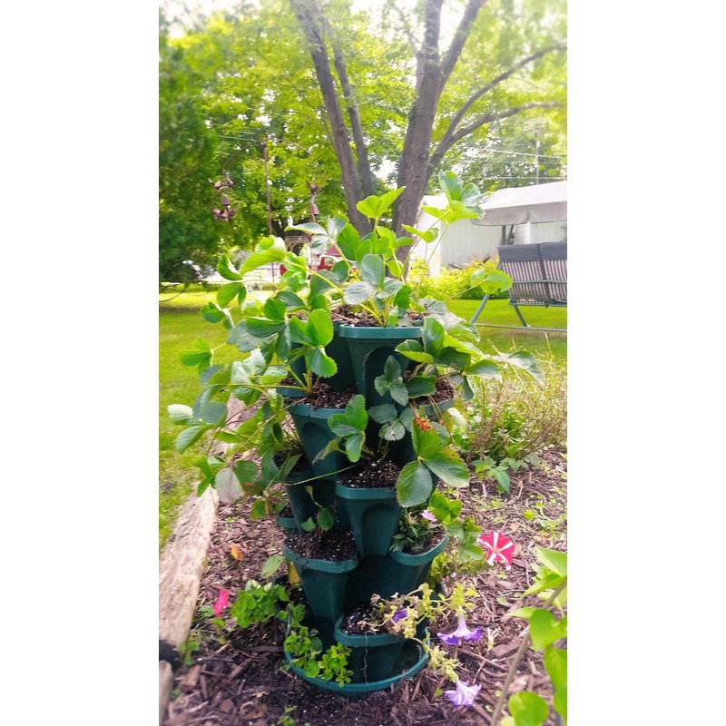 Mr. Stacky 1305-HG 5-Tier Stackable Strawberry, Herb, Flower, & Vegetable
