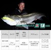 Daiwa R90FSSR Morethan Crosswake Sea Bass Lure, CH Inakko