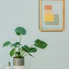 YOKIVE 1 Pcs Shadow Box Frame, Wooden Pressed Flower Frame
