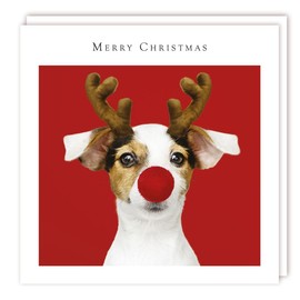 Tracks Publishing Charity Christmas Cards - Jack Russell Rudolph - Eco-Friendly - Pack of 5 Cards