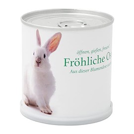 MacFlowers Easter Greetings Easter Bouquet Easter Bunny Jewellery Basket Cultivation Set Gift