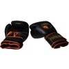 FightersJuice Training Gloves (12oz)
