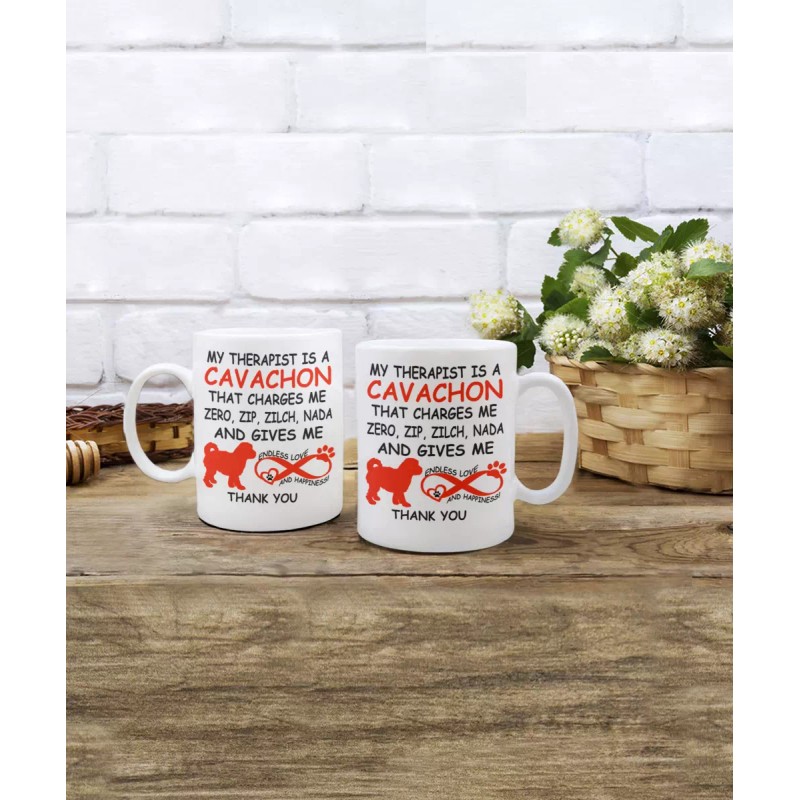 Cavachon Dog,Cavachons,