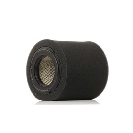 RIDEX 8A0575 Motor Air Filter Insert, Recirculation Filter with Pre-Filter