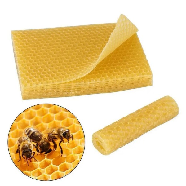 30x Honeycomb Foundation Beehive Wax Frames Waxing Beekeeping Equipment Bee