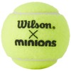 Wilson WR8202401001 Tennis Balls, Hard Balls, 1 Can, 3 Balls,