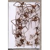 Bell Labs 12 Brown Recluse Spider Traps House Spider Traps