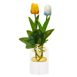 RAKSONIC Colored Glass Bud Vase,Hydroponic Vase Office Bonsai Air Plant Vase，Decorative Table Floral Vase for Wedding Centerpieces, Office, Rustic Home Decor