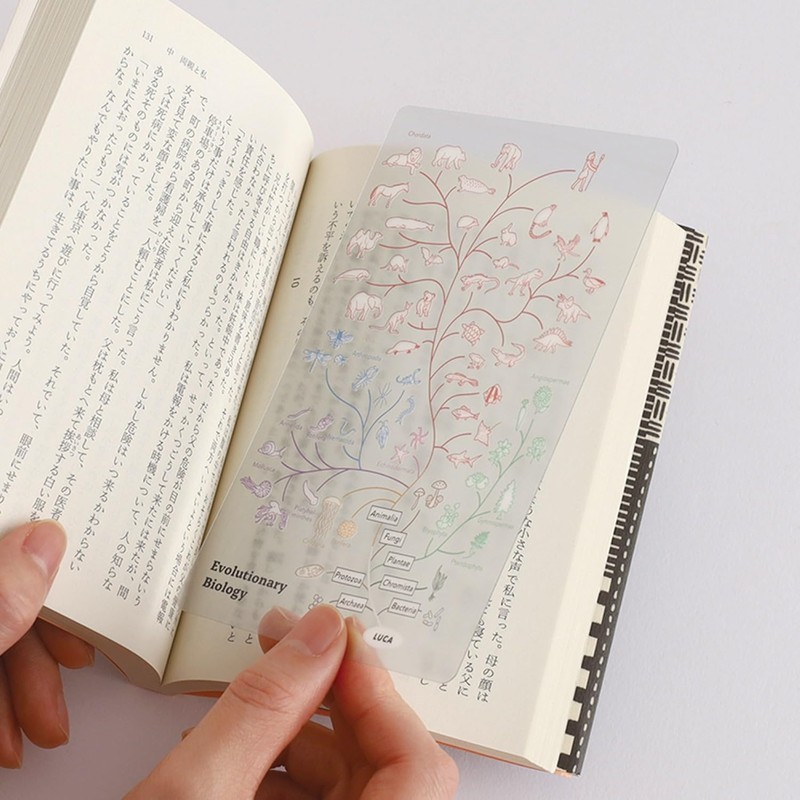 Green Flash STUDY HOLIC Clear Bookmark Evolution Biology ST-374