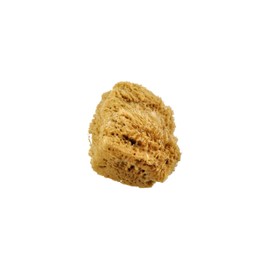 Royal & Langnickel 2096P Large 2096 Sponge Painting, Multicolor