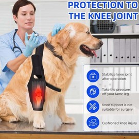 YihuaTop Dog Knee Brace Leg Braces - Adjustable Dog Leg Brace for Torn ACL Hind Leg Joint Pain Muscle Sore Pet Brace (L)