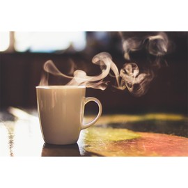 5x WMF Wasserfilter für Kaffeevollautomaten 1000 pro