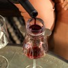 Rabbit Wine, Wine Aerator with Sediment Strainer and Stand, Hand-Free