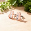 S925 Sterling Silver Capybara Earrings for Women, Cute Boba Stud