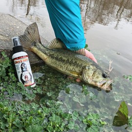 KVD Line and Lure Conditioner 4 oz | Fishing Line Conditioner Spray for Your Freshwater or Saltwater Fishing Reel, Rod and Tackle Kit | Works on Braid, Monofilament and Fluorocarbon Fishing Line