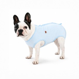 Paipeper French Bulldog Recovery Suit, Professional Dog Surgery Suit for Frenchie, Soft Breathable E-Collar Cone Alternative, Anti-Licking Abdominal Wound Protector for Spay Neuter(Blue-m)