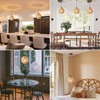 ALAISLYC 15ft Plug in Pendant Light with Cord Dimmable Switch