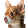 Mayerzon Short Snout Dog Muzzle, Small Muzzle for Chihuahua Shih