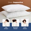Martex Twin Pack Pillow, King, White