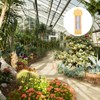 LABRIMP Useful Greenhouse Thermometer Maximum and Minimum Thermometer for Accurate