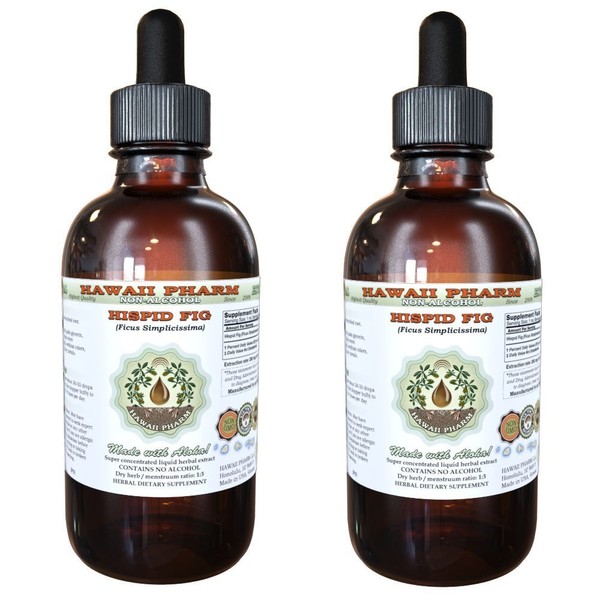 Hispid Fig (Ficus Simplicissima) Glycerite, Organic Dried Roots Alcohol-Free Liquid