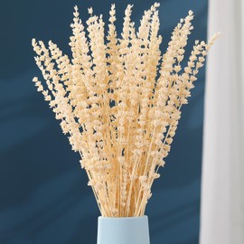 Dried Lavender Flowers Bundle, White Preserved Dry Lavender Bouquet, 17" Natural Dried Flowers for Home Wedding Vase Decor, Photo Props, Crafts, Flower Arrangements, Gifts for Her