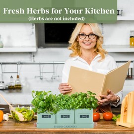 PERFNIQUE Indoor Herb Garden, Herb Planter Set with Tray, Farmhouse Indoor Plant Pots, Windowsill Herb Garden with Drainage(Planter only) for Indoor/Outdoor, Window Pots (Mint)