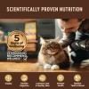 Wellness Core Grain Free High Protein Kitten Wet Cat Food