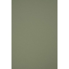 Netuno 10x Olive Green Cardboard A5 148x210 mm 5.83x8.27 in 120gsm Materica Verdigris Recycled Coloured Cardboard Recycled Paper Natural Ecological Cardboard for Crafts Coloured Card eco-Friendly