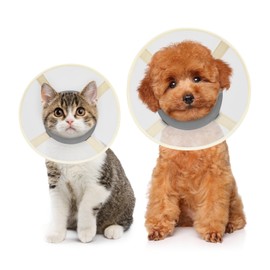 Cat Cone Collar Soft- Adjustable Comfortable Air Mesh Recovery Cone After Surgery to Stop Licking and Scratch, Alternative to Plastic Elizabethan Collar for Cat, Whiskers Freedom (Grey, XS)