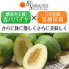 Sankyo International Bio Normalizer (Blue Papaya Fermented Food), 0.1 oz