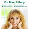 Healths Harmony St John's Wort Capsules Powerful & Potent Saint