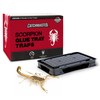 Catchmaster Scorpion Glue Tray Traps 6-Pack, Adhesive Scorpion Killer for