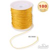 PMLAND 1 X Roll of 100 Yards Lift Shade Cord