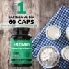 Enzimas Digestivas, Probióticos y Prebióticos Vegano – Beyond Vitamins –