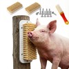 Toys for Pigs - 3-Pack Interactive Grooming Brushes | Pig