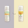 Burt's Bees Calming Day Face Lotion With Aloe and Rice