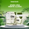 Smart Herb Focus GMB, Suplemento con Ginseng, Melena de León