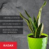 Kadax Decorative Flower Pot, for Flowers and Plants, with bottom