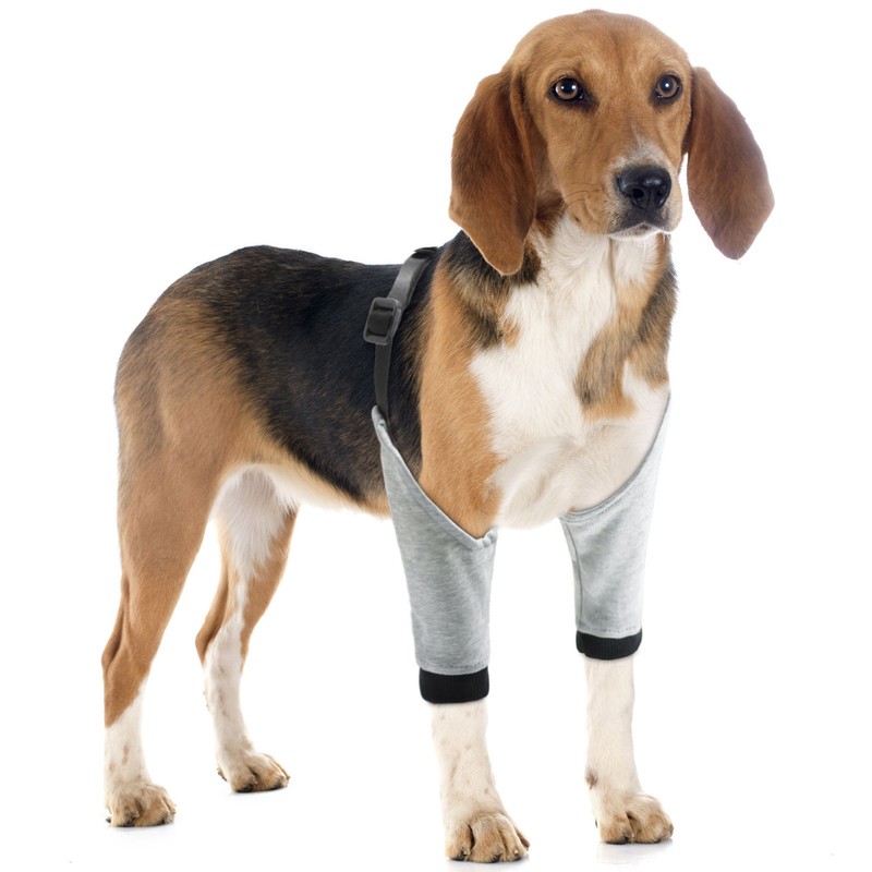 Dog Elbow Protector Recovery Sleeve Elbow Joint Support Wrap Pet