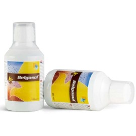 Belgica De Weerd Belgasol Electrolytes & Vitamins for Pigeons 250ml