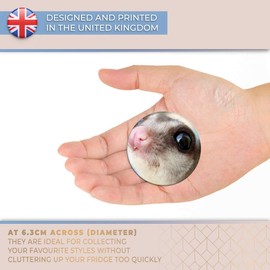 Destination Vinyl ltd Magnet for Refrigerator, Fridge - Cute Flying Squirrel Face for Office, Cabinet and Whiteboard, Magnetic Stickers, 3281